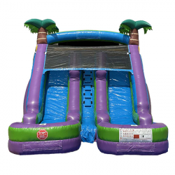 S 101 3 1720795685 #29 Dual Lane Purple Water Slide