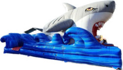 #36 MEGALODON SLIP AND SLIDE